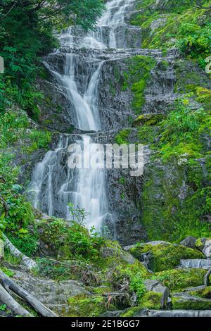 Cascade au milieu de l'herbe verte. Ruisseau de montagne sur des rochers mousseux dans la forêt tropicale d'été. Cascade alpine de débit rapide Banque D'Images