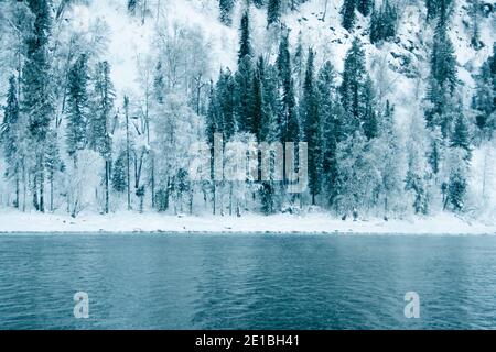 Forêt de neige sombre près de la rivière d'hiver. La rive du lac est couverte de glace et de givre. Léger givré sur de l'eau froide. Banque D'Images