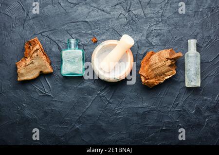 Mortier avec le pilon et le champignon de teinture.Tinder polypore en phytothérapie.plantes médicinales. Banque D'Images