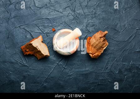 Mortier avec le pilon et le champignon de teinture.Tinder polypore en phytothérapie.médicinal Plantes.Herbalisme Banque D'Images