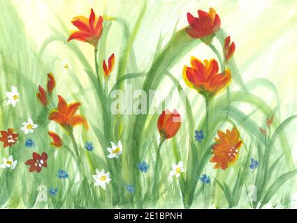 Paysage de fleurs multicolores aquarelle peinture. Peinture originale de fleurs, beau champ de fleurs d'été. Banque D'Images