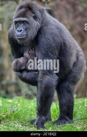 Touni Une Nouvelle Maman D Un Bebe De L Ouest De Plaine Encore Sans Nom Et