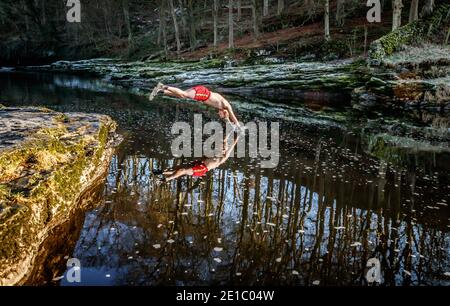 Les Peebles plongeons dans la rivière Ribble près de Stainforth dans le North Yorkshire. M. Peebles nage dans la nature chaque jour en janvier pour recueillir des fonds pour la crise de la charité contre l'itinérance. Banque D'Images