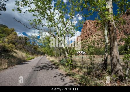 Falaises de rhyolite vues depuis la route dans Cave Creek Canyon, Chiricahua Mountains, Arizona, États-Unis Banque D'Images