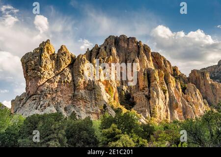 Falaises de rhyolite autour du terrain de camping Sunny Flat à Cave Creek Canyon, cactus buckhorn cholla, habitat de zone riveraine dans les montagnes Chiricahua, Arizona, États-Unis Banque D'Images