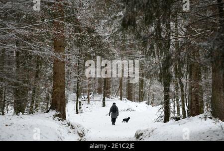 Garmisch Partenkirchen, Allemagne. 06e janvier 2021. Une femme marche son chien dans la forêt enneigée. Credit: Angelika Warmuth/dpa/Alamy Live News Banque D'Images