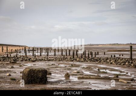 Old groynes, Seasalter, Kent, Angleterre, Royaume-Uni Banque D'Images