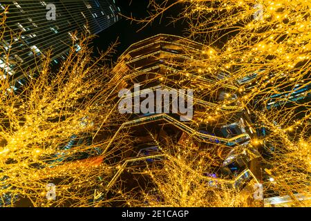 Des arbres de Noël illuminés entourent le bateau dans les cours d'Hudson. Banque D'Images