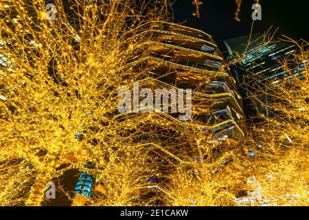 Des arbres de Noël illuminés entourent le bateau dans les cours d'Hudson. Banque D'Images