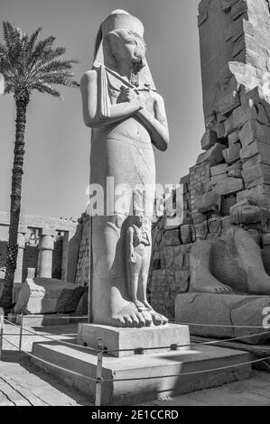 Louxor. Voici la statue de Ramasses II, le Grand avec sa fille Bentanta à ses pieds à l'entrée du temple de Karnak, âgé de 4000 ans, le plus grand complexe de temples du monde, Situé sur le Nil dans la ville de Louxor, autrefois connue dans le monde antique sous le nom de Thèbes. Les terrains du temple ont également été utilisés comme un ensemble de films pour le film James Bond The Spy qui aimait moi. Banque D'Images