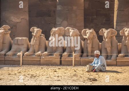 C'est l'avenue de Rams et Sphinx au temple de Karnak, vieux de 4000 ans, le plus grand complexe de temples du monde, situé sur le Nil à la ville de Louxor, autrefois connue dans le monde antique comme Thèbes. Les terrains du temple ont également été utilisés comme décor pour le film James Bond The Spy Why Whaid Me. l'avenue de Sphinx et Rams bordaient la voie de procession royale du Temple de Louxor au Temple de Karnak Banque D'Images