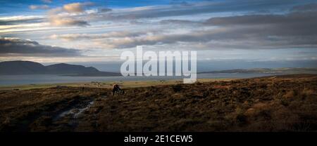 Orkney Islands, Écosse, Royaume-Uni Banque D'Images