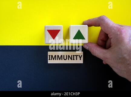 Symbole de croissance de l'immunité. Man tient un cube avec une icône vers le haut. Bloc en bois avec le mot « immunisé ». Magnifique fond jaune et noir. Copier l'espace. Médical Banque D'Images