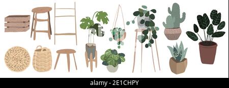 Ensemble de plantes d'intérieur en pots. Illustration Banque D'Images