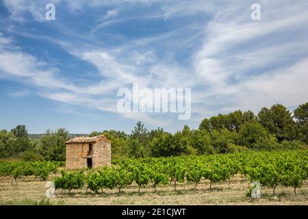 Une cabane en pierre, ou cabane de travailleurs, dans un vignoble de Provence Banque D'Images