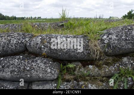 Vue vers les lignes allemandes depuis la « tranchée de la mort », une section préservée des tranchées militaires de la première Guerre mondiale à Diksmuide, en Belgique. Banque D'Images