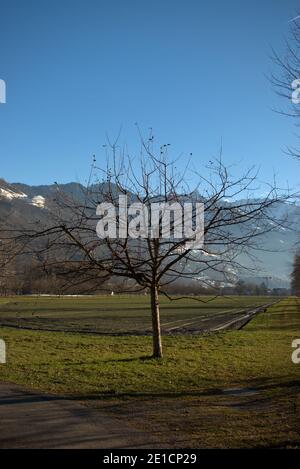 Paysage autour de Vaduz au Liechtenstein 16.12.2020 Banque D'Images