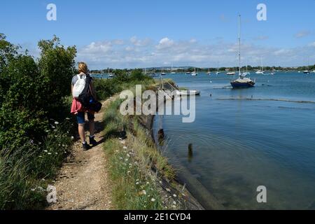 Femme marchant sur un chemin le long de la mer tandis que son chien marche dans l'eau peu profonde Banque D'Images