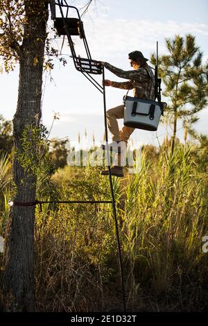 Chasseur de cerfs descendant à la chasse aveugle, réserve de Bear Creek, Géorgie, États-Unis Banque D'Images