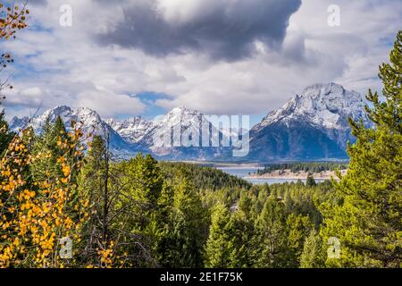 Paysage de montagne avec arbres Banque D'Images