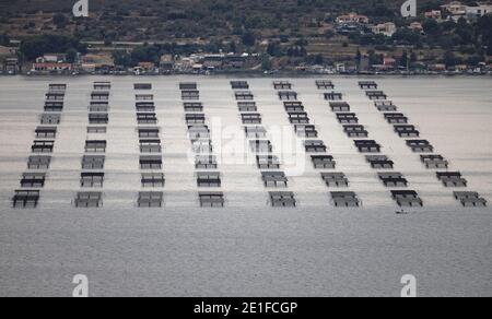 Sète, France.19 août 2019. Vue sur le lagon de Thau avec conchyliculture à Sète en France. Banque D'Images