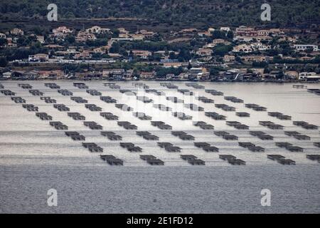 Sète, France.19 août 2019. Vue sur le lagon de Thau avec conchyliculture à Sète en France. Banque D'Images