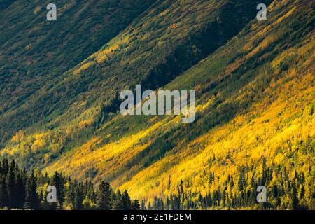 Forêt par le lac de la Russie inférieure en automne, Kenai, Alaska, États-Unis Banque D'Images