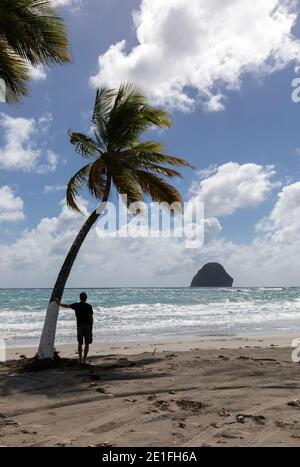 Homme silhoueté debout sur la plage avec des palmiers en Martinique Banque D'Images