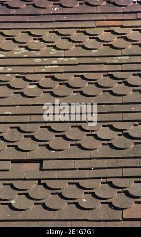 Tuiles festonnées sur un toit résidentiel à Greenwich, Londres, Angleterre | AUCUN | Banque D'Images