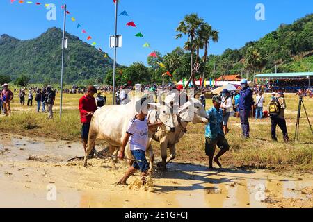 AN GIANG, VIETNAM - 28 NOVEMBRE 2020 : un festival traditionnel de course de boeuf. Banque D'Images