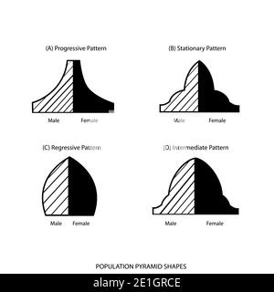 Population et démographie, ensemble d'illustrations de 4 types de graphique des pyramides de population ou graphique de la structure par âge isolé sur fond blanc. Banque D'Images