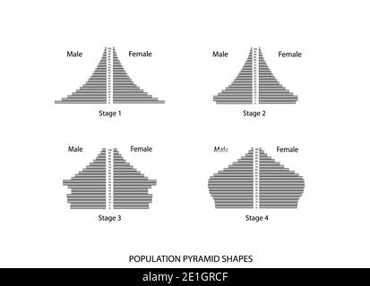 Population et démographie, ensemble d'illustrations de 4 types de graphique des pyramides de population ou graphique de la structure par âge isolé sur fond blanc. Banque D'Images