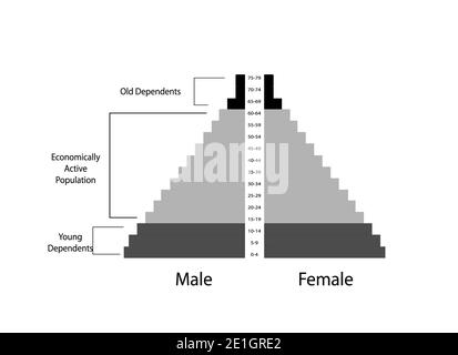 Population et démographie, illustration du détail de la carte des pyramides de la population ou du graphique de la structure par âge isolé sur fond blanc. Banque D'Images