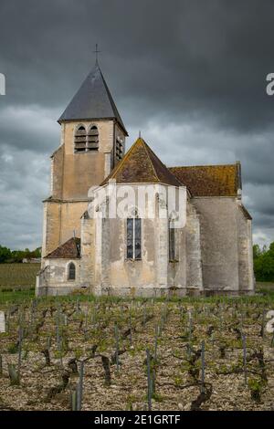 Vignoble et église Sainte-Claire dans la région de Chablis en Bourgogne, France Banque D'Images