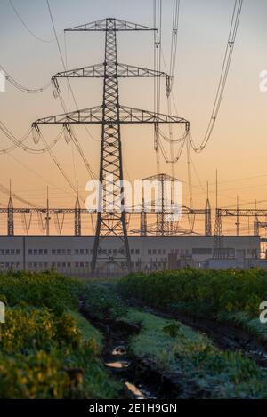 Wolmirstedt, Allemagne. 19 décembre 2020. Un lever de soleil coloré s'annonce à la station de transformation avec ses pylônes d'électricité visibles de loin. Credit: Stephan Schulz/dpa-Zentralbild/ZB/dpa/Alay Live News Banque D'Images