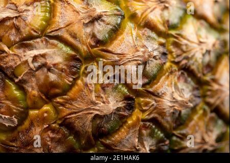 Ananas mûr, texture de la surface. Gros plan, mise au point sélective Banque D'Images