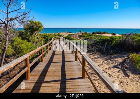 Promenade à travers les dunes de sable à la Mata, Torrevieja, Costa Blanca, Espagne, province de Valence Banque D'Images