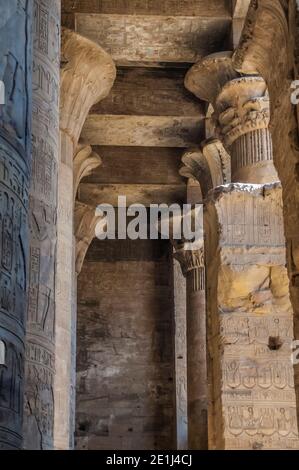 Edfu. Voici quelques-unes des puissantes colonnes finement sculptées du temple d'Horus le Dieu faucon de 200BC, situé à mi-chemin entre Louxor et Assouan sur le Nil et la ville d'Edfu célèbre pour ses énormes pylônes, colonnes finement décorées, des hiéroglyphes cartouches histoire racontant des panneaux muraux, et œuvres d'art sur ses plafonds. Le temple a eu la chance que la majorité de celui-ci ait été couvert de sable soufflé par le vent préservant ainsi le temple des éléments pendant des siècles. Banque D'Images