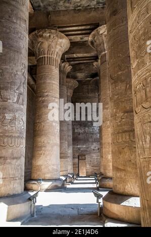 Edfu. Voici quelques-unes des puissantes colonnes finement sculptées dans le hall Hypostyle au temple de 200BC d'Horus le Dieu faucon, situé à mi-chemin entre Louxor et Assouan sur le Nil et la ville d'Edfu célèbre pour ses énormes pylônes, colonnes finement décorées, cartouche hiéroglyphes histoire racontant des panneaux muraux, et des œuvres d'art sur ses plafonds. Le temple a eu la chance que la majorité de celui-ci ait été couvert de sable soufflé par le vent préservant ainsi le temple des éléments pendant des siècles. Banque D'Images