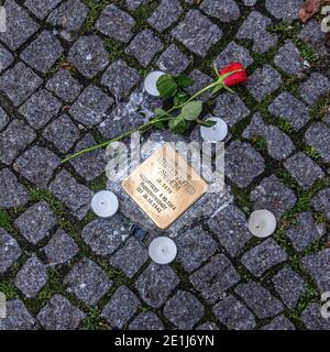 Stolpersteine, pierre d'achoppement en laiton de Leopold Alfred Arnheim dans Brunnenstrasse, Mitte, Berlin Banque D'Images