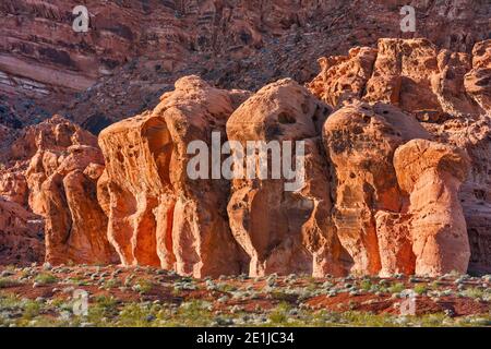 Formations rocheuses de grès au coucher du soleil dans le parc national de la Vallée de feu, désert de Mojave, Nevada, États-Unis Banque D'Images