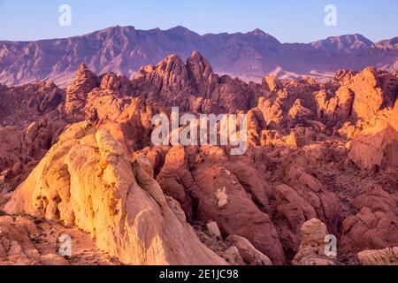 Formation de roche de grès au coucher du soleil dans la région de Fire Canyon, parc national de la Vallée de feu, désert de Mojave, Nevada, États-Unis Banque D'Images