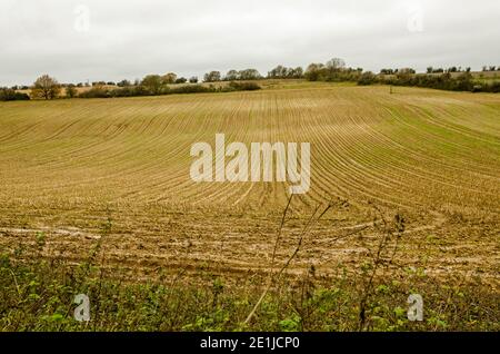 Vue le long des sillons d'un champ arable sur une colline près de Dummer, Basingstoke, Hampshire, par une journée nuageuse d'automne. Banque D'Images