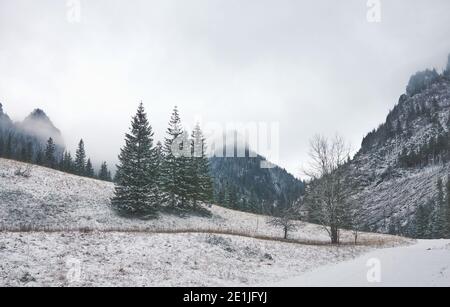 Paysage de montagne d'hiver, couleurs appliquées, Pologne. Banque D'Images