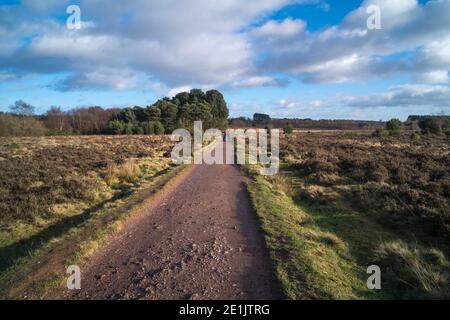 Sutton Park à Sutton Coldfield près de Birmingham est de 2000 acres de parc avec des pistes cyclables et des chemins de bride et des lacs pour loisirs Banque D'Images