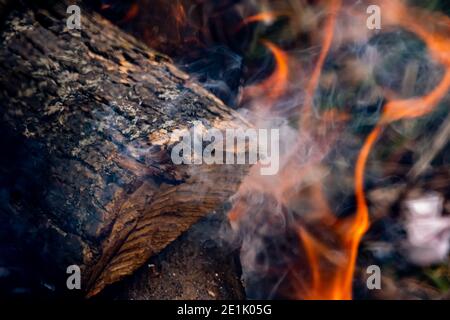 Une bûche de bois coupée est de fumer avec des flammes sous elle dans un feu de camp extérieur dans une vue rapprochée. Banque D'Images