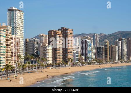 Côte de Benidorm, horizon de la ville au ciel bleu, vue sur la plage de sable. Ville touristique espagnole célèbre. Gratte-ciels modernes, mer Méditerranée. Prov Banque D'Images