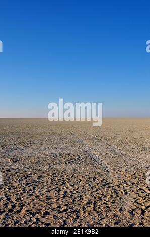 Le sable, le sel et wildllife-spoors dans la savane sèche avec horizon infini à la salines d'Etosha en Namibie Banque D'Images