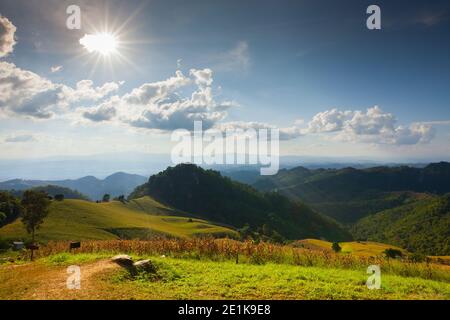 Ferme de maïs en face du paysage vue sur la montagne verte Banque D'Images