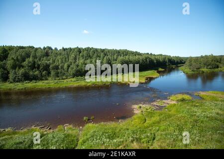 Vue sur la forêt de conifères et la rivière en été dans le nord de la Russie. Banque D'Images